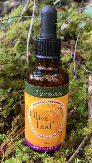 Olive Leaf Tincture Image