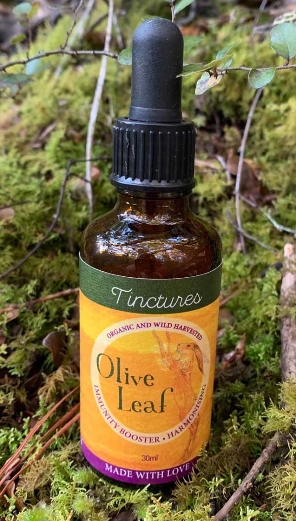 Olive Leaf Tincture Image